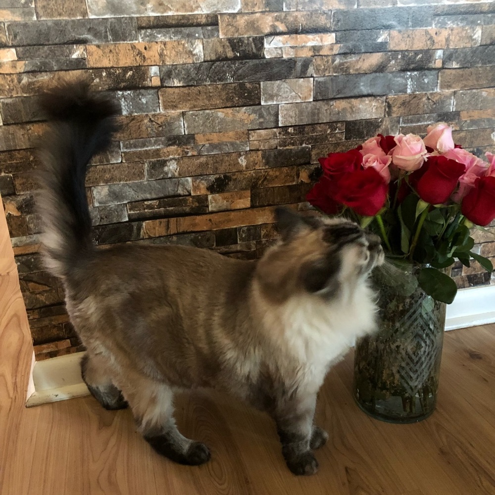 Meet your Posher, Kateryna